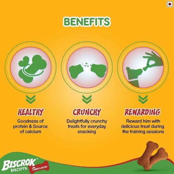Pedigree Biscrok 500 GM - Image 3