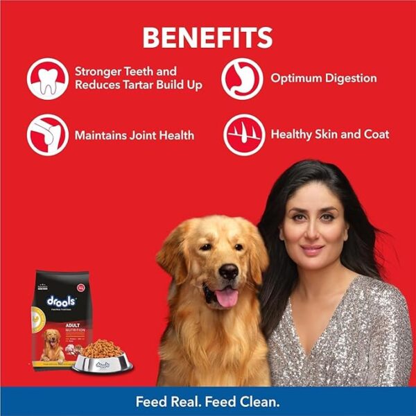 Drools Adult Nutrition 3 KG - Image 2