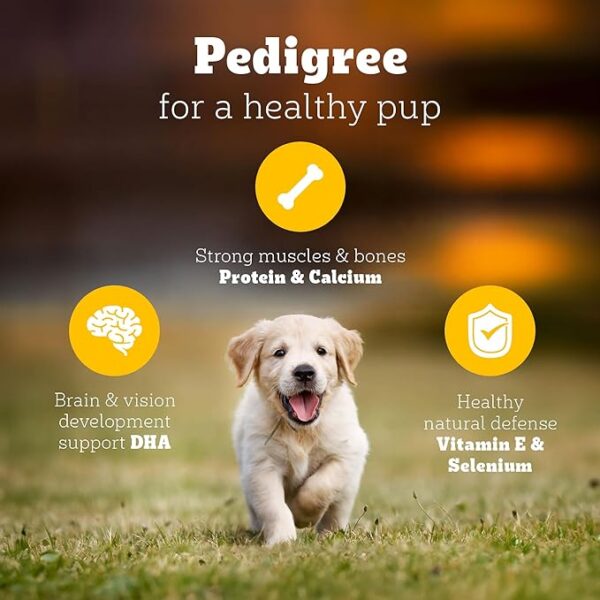 Pedigree Puppy  2.8 Kg (Copy) - Image 4