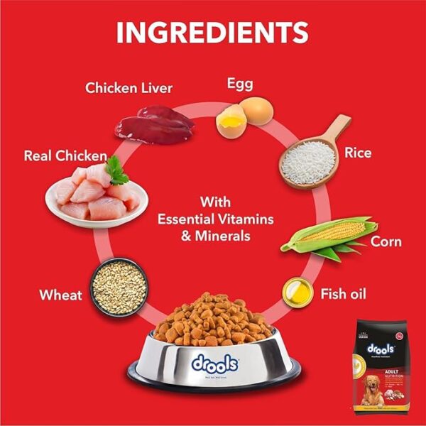Drools Adult Nutrition 3 KG - Image 3