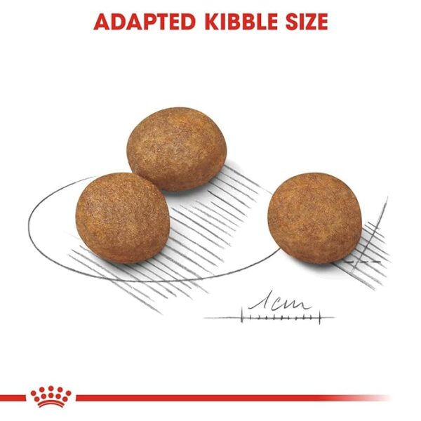 Royal Canin Maxi Puppy 10 kg - Image 4