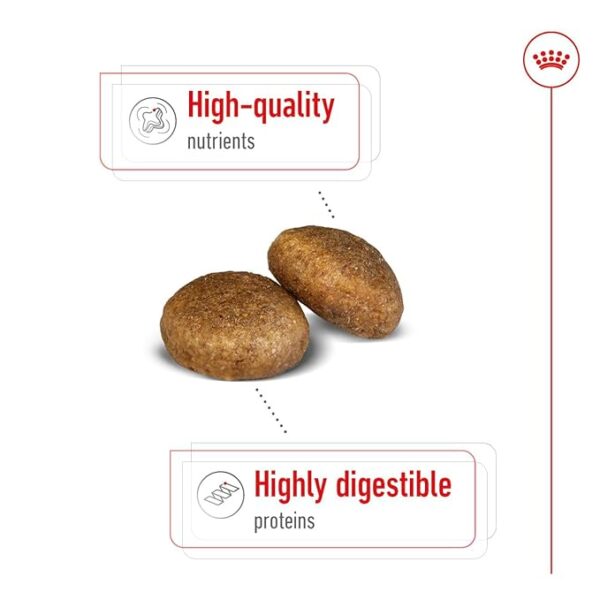 Royal Canin Maxi Adult 2.5 kg - Image 3