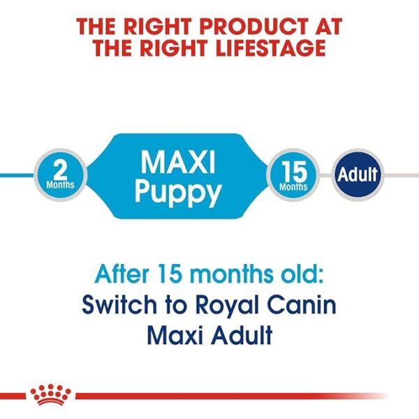 Royal Canin Maxi Puppy 15 KG - Image 4