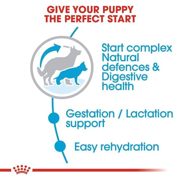 Royal Canin Maxi Starter 2.5KG - Image 3