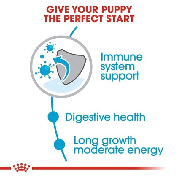 Royal Canin Maxi Puppy 15 KG - Image 3