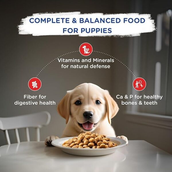 Chappi 7 KG Puppy - Image 3