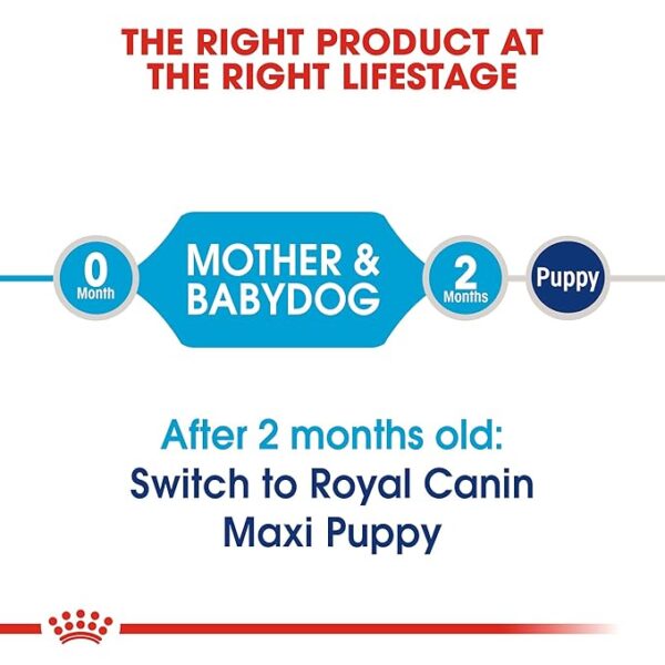 Royal Canin Starter 1 KG - Image 3