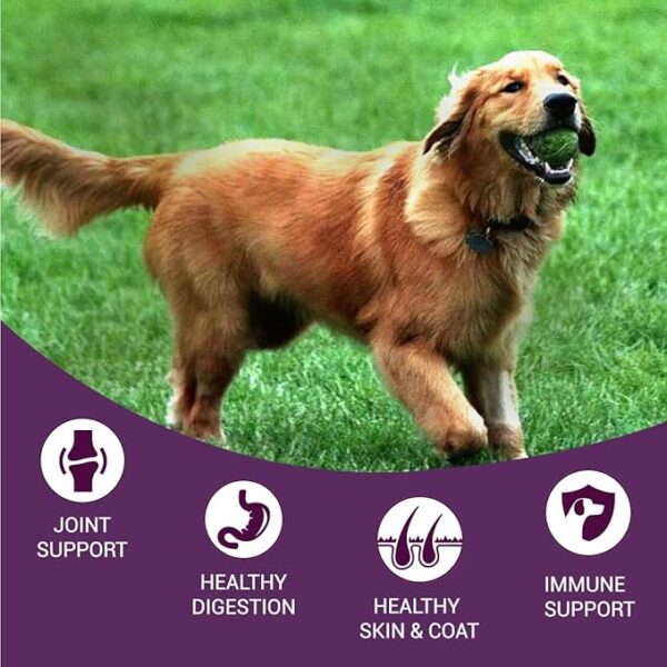 Bowlers Dog Food Adult 20 KG - Image 4