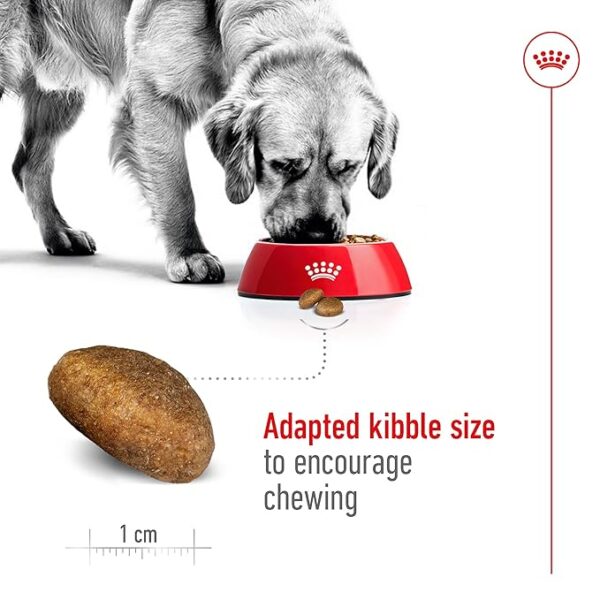 Royal Canin Maxi Adult 2.5 kg - Image 4