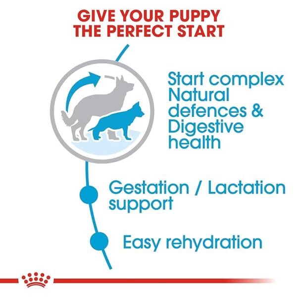Royal Canin Maxi Starter Pellet Dog Food 4 KG - Image 4