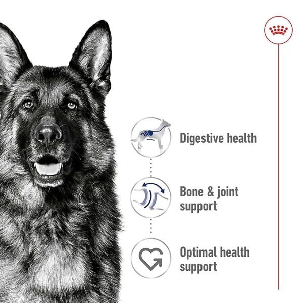 Royal Canin Maxi Adult 2.5 kg - Image 2