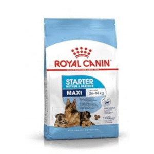 Royal Canin Maxi Starter 2.5KG